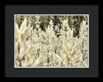 Load image into Gallery viewer, Leaves 1 - Framed Print

