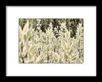 Load image into Gallery viewer, Leaves 1 - Framed Print
