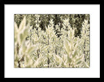 Load image into Gallery viewer, Leaves 1 - Framed Print
