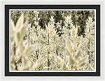 Load image into Gallery viewer, Leaves 1 - Framed Print
