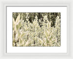 Load image into Gallery viewer, Leaves 1 - Framed Print
