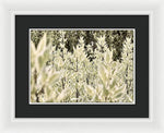 Load image into Gallery viewer, Leaves 1 - Framed Print
