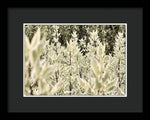 Load image into Gallery viewer, Leaves 1 - Framed Print
