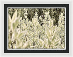Load image into Gallery viewer, Leaves 1 - Framed Print
