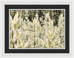 Load image into Gallery viewer, Leaves 1 - Framed Print
