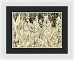 Load image into Gallery viewer, Leaves 1 - Framed Print
