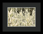Load image into Gallery viewer, Leaves 1 - Framed Print
