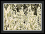 Load image into Gallery viewer, Leaves 1 - Framed Print

