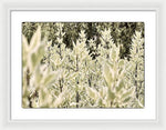 Load image into Gallery viewer, Leaves 1 - Framed Print
