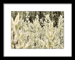 Load image into Gallery viewer, Leaves 1 - Framed Print

