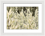 Load image into Gallery viewer, Leaves 1 - Framed Print
