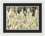 Load image into Gallery viewer, Leaves 1 - Framed Print
