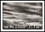 Load image into Gallery viewer, Passing Clouds - Framed Print
