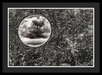 Load image into Gallery viewer, Peaking Clouds - Framed Print

