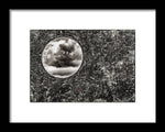 Load image into Gallery viewer, Peaking Clouds - Framed Print
