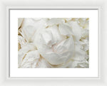 Load image into Gallery viewer, Peonies Delicate Petals - Framed Print
