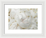 Load image into Gallery viewer, Peonies Delicate Petals - Framed Print
