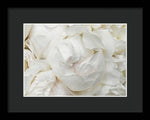 Load image into Gallery viewer, Peonies Delicate Petals - Framed Print
