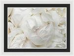 Load image into Gallery viewer, Peonies Delicate Petals - Framed Print
