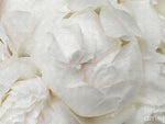 Load image into Gallery viewer, Peonies Delicate Petals - Puzzle
