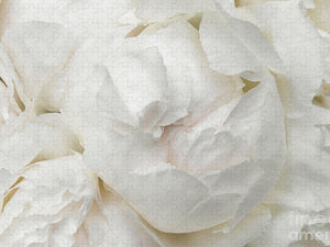 Peonies Delicate Petals - Puzzle