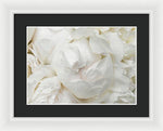 Load image into Gallery viewer, Peonies Delicate Petals - Framed Print
