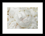 Load image into Gallery viewer, Peonies Delicate Petals - Framed Print
