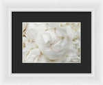 Load image into Gallery viewer, Peonies Delicate Petals - Framed Print
