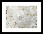 Load image into Gallery viewer, Peonies Delicate Petals - Framed Print

