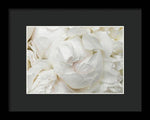 Load image into Gallery viewer, Peonies Delicate Petals - Framed Print
