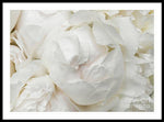 Load image into Gallery viewer, Peonies Delicate Petals - Framed Print
