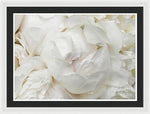 Load image into Gallery viewer, Peonies Delicate Petals - Framed Print
