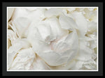 Load image into Gallery viewer, Peonies Delicate Petals - Framed Print
