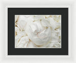 Load image into Gallery viewer, Peonies Delicate Petals - Framed Print
