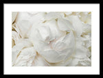 Load image into Gallery viewer, Peonies Delicate Petals - Framed Print
