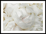 Load image into Gallery viewer, Peonies Delicate Petals - Framed Print
