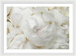Load image into Gallery viewer, Peonies Delicate Petals - Framed Print
