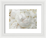Load image into Gallery viewer, Peonies Delicate Petals - Framed Print
