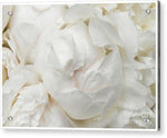 Load image into Gallery viewer, Peonies Delicate Petals - Acrylic Print
