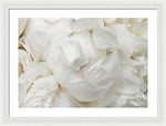 Load image into Gallery viewer, Peonies Delicate Petals - Framed Print
