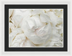 Load image into Gallery viewer, Peonies Delicate Petals - Framed Print
