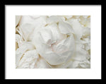 Load image into Gallery viewer, Peonies Delicate Petals - Framed Print
