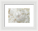 Load image into Gallery viewer, Peonies Delicate Petals - Framed Print
