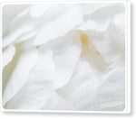 Load image into Gallery viewer, Peonies Petals - Canvas Print
