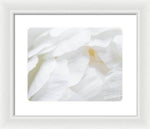 Load image into Gallery viewer, Peonies Petals - Framed Print
