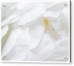 Load image into Gallery viewer, Peonies Petals - Acrylic Print
