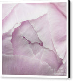 Load image into Gallery viewer, Pink petals close up - Canvas Print
