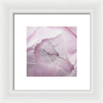 Load image into Gallery viewer, Pink petals close up - Framed Print
