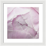 Load image into Gallery viewer, Pink petals close up - Framed Print
