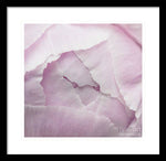 Load image into Gallery viewer, Pink petals close up - Framed Print
